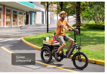 Load image into Gallery viewer, Mokwheel Granite E-Trike