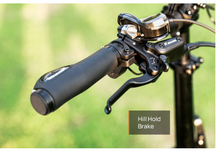 Load image into Gallery viewer, Mokwheel Granite E-Trike