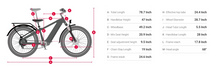 Load image into Gallery viewer, Himiway D5 Pro / D5 ST Pro All-Terrain E-Bike