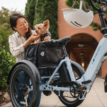 Load image into Gallery viewer, Lectric XP Trike2 750

